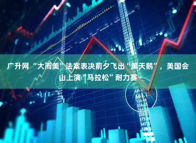 广升网 “大而美”法案表决前夕飞出“黑天鹅”，美国会山上演“马拉松”耐力赛